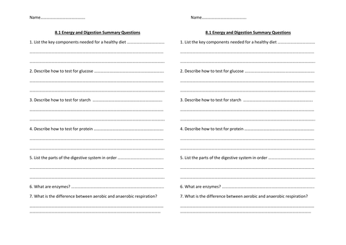 y8 energy and digestion summary questions