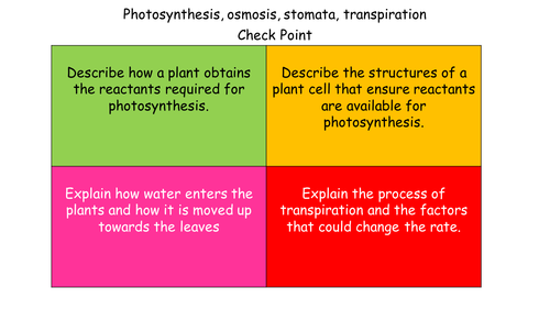 Differentiated Plant questions  confidence task