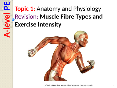 A-level PE: Muscle Fibre Types and Exercise Intensity Revision