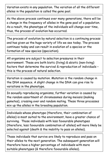 Evolution by natural selection card sort