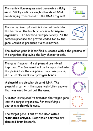 Genetic engineering