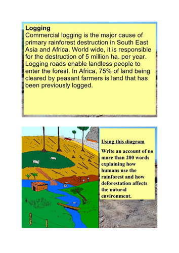 Uses of the Tropical Rainforest