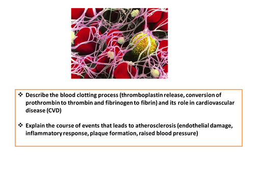 Blood clotting and atheroscleosis A-level / high ability GCSE