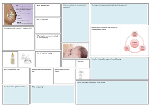 Child development- RO18 antenatal care and feeding baby placemats