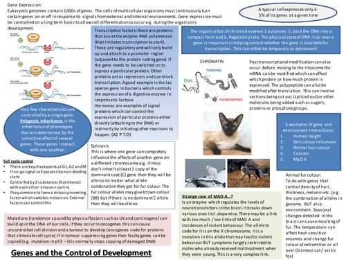 Genes and the control of gene expression