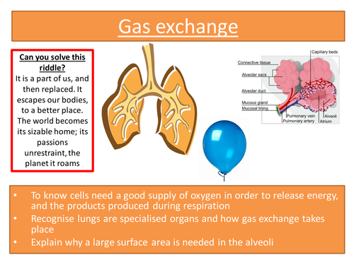 Breathing and gas exchange New AQA spec