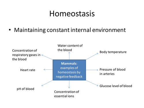 Heat control and homeostasis