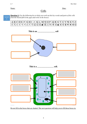 Ks3 Cells Worksheet Teaching Resources