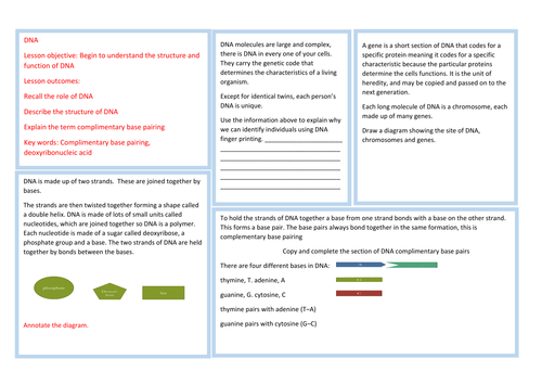 DNA learning mat GCSE biology - science