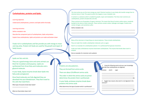 Carbohydrates, lipids and proteins learning mat GCSE Biology - Science