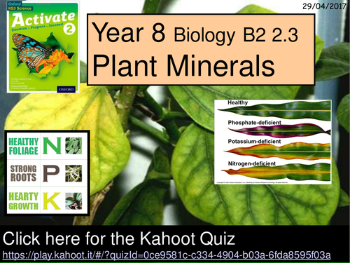 A Year 8 Kahoot Quiz on Plant Minerals for the Activate Science B2 2.3 lesson.