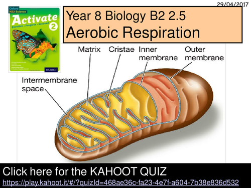 A Year 8 Kahoot Quiz on Aerobic Respiration  for the  Activate Science B2 2.5 lesson