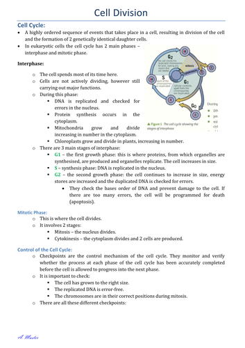 Cell Division Notes