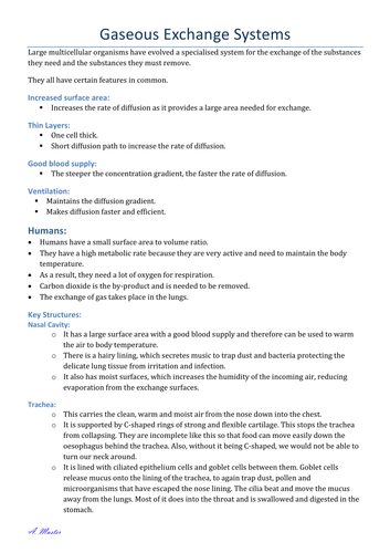 Gaseous Exchange System Notes