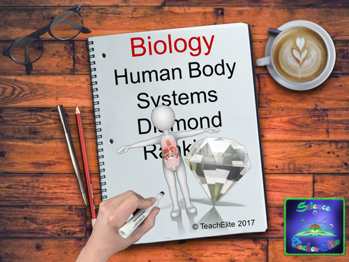 Human Body Systems Diamond Ranking Activity