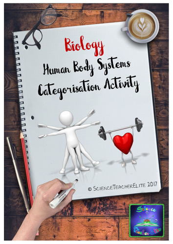 Human Body Systems  Categorisation Activity
