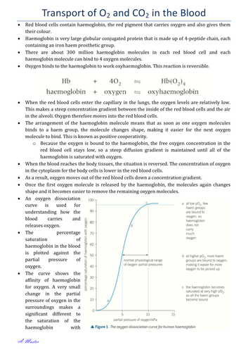 Transport of Oxygen and Carbon Dioxide in the Blood Notes