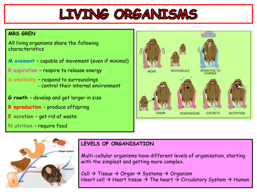 IGCSE EDEXCEL BIOLOGY REVISION GUIDE/CARDS