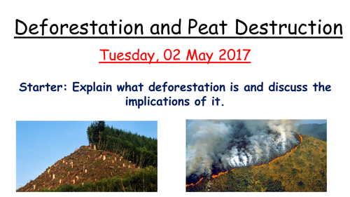 Deforestation and Peat Destruction