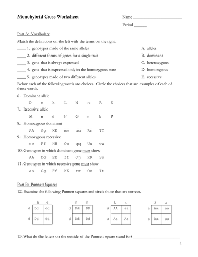 Monohybrid Cross Practice Worksheet Promotiontablecovers