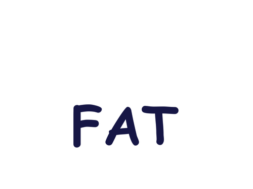 Fat- source, function and structure.