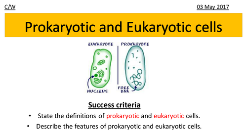 9-1 Prokaryotic and Eukaryotic cells | Teaching Resources