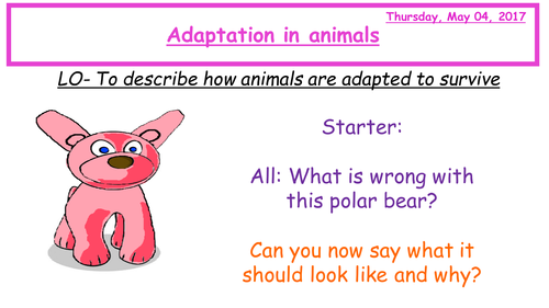 Animal Adaptations Y7 with Peer Assessment