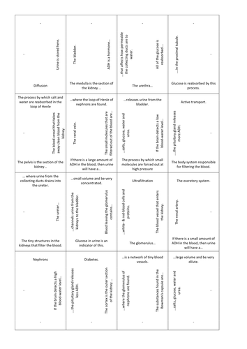 Excretion card-squares