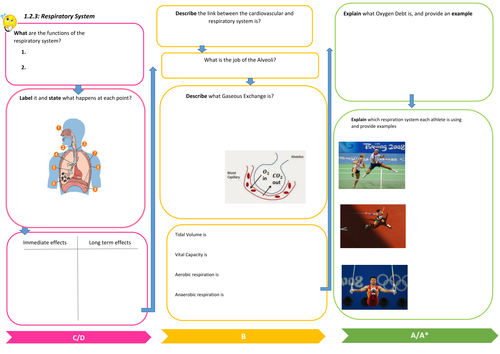 Respiratory System Revision Learning Mat