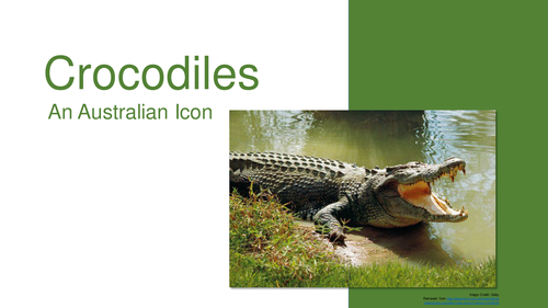 Crocodiles - Reading Comprehension