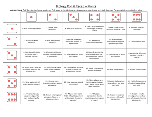 OCR A level Biology Plant revision activity