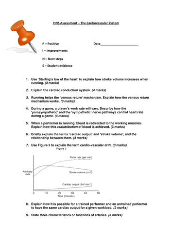 AQA PE new specification A Level Year 1 - Assessments, questions/tasks with model answers