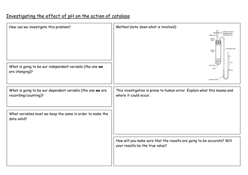 Effect of pH on catalase