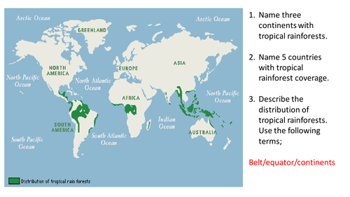 Tropical rainforest characteristics by josephg89 - Teaching Resources - Tes