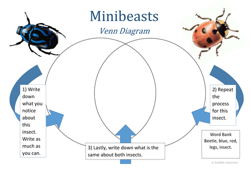 Minibeast Venn Diagram