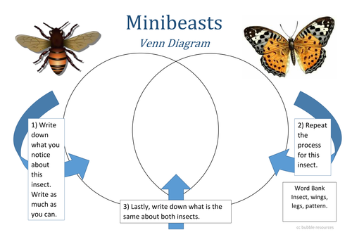 Minibeast Venn Diagram 2