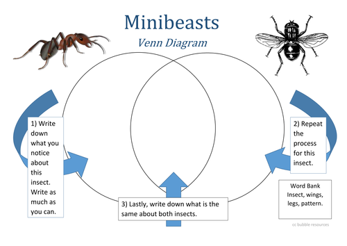 Minibeast Venn Diagram 3