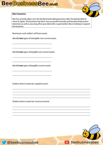 Revenue and Capital Expenditure and Income Worksheet