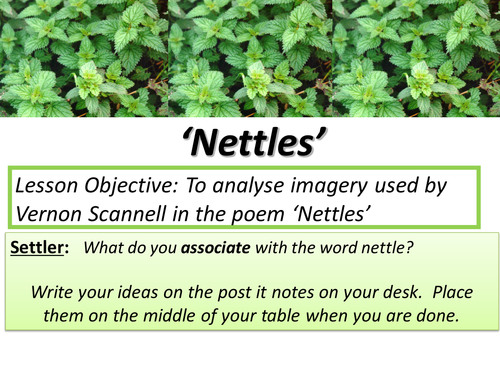 GCSE Unseen Poetry - Nettles