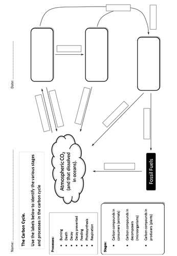 Carbon Cycle - Complete the diagram and question sheet.