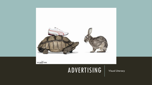 Visual Literacy: Adverts (Target Audience, Persuasive Techniques, AIDA Principle)