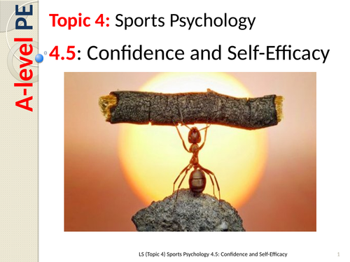 A-Level PE EDEXCEL: Confidence and Self Efficacy