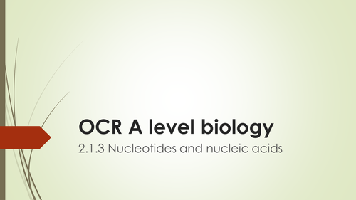 OCR A level biology nucleic acids