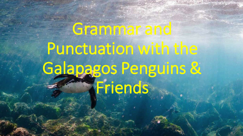 grammar and punctuation revision item with fun pictures