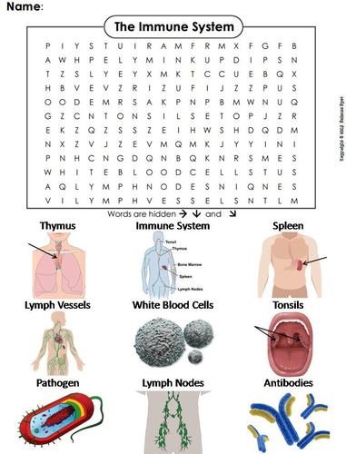 Immune System Word Search