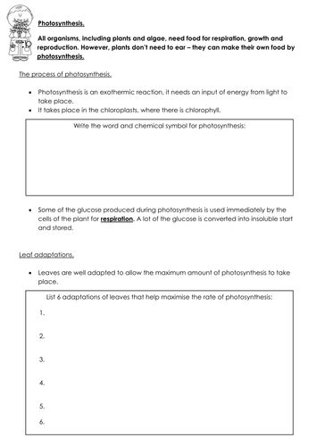 New AQA Biology Photosynthesis revision