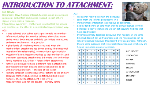 A LEVEL NEW SPEC PSYCHOLOGY Summary Sheets - Attachment