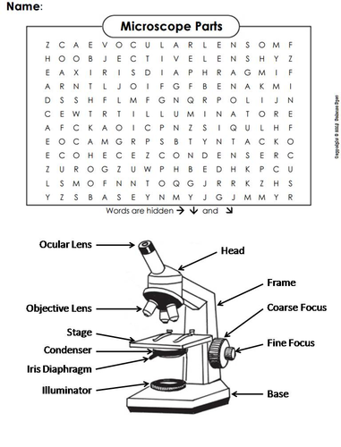 Microscope Parts Word Search