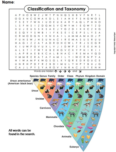 Classification and Taxonomy Word Search