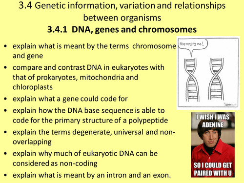 NEW AQA AS BIOLOGY UNIT 4 - GENETIC INFORMATION, VARIATION AND RELATIONSHIPS BETWEEN ORGANISMS